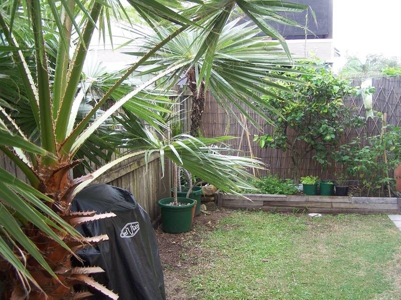 3/12 Hampton Court, Pottsville NSW 2489