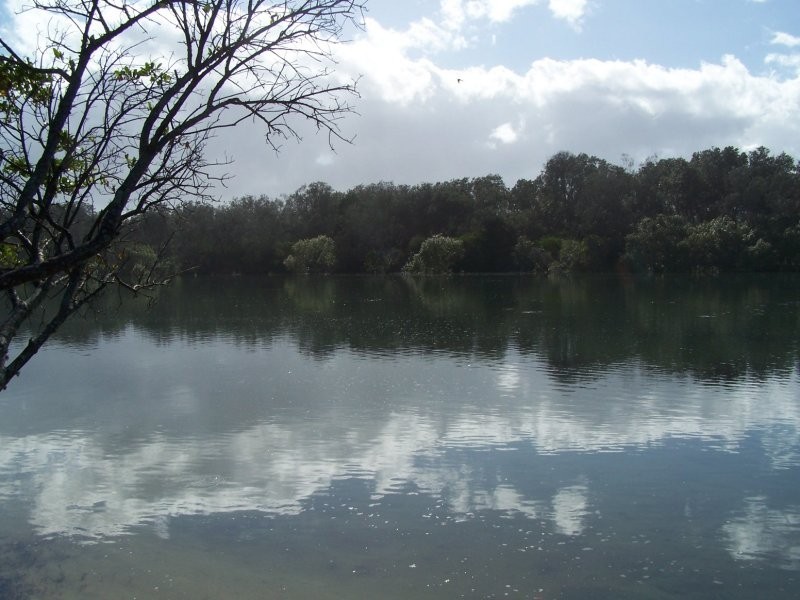 1/12 Diana Court, Pottsville NSW 2489