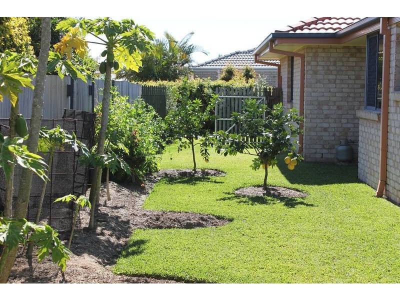 5 Trumper Place, Pottsville NSW 2489