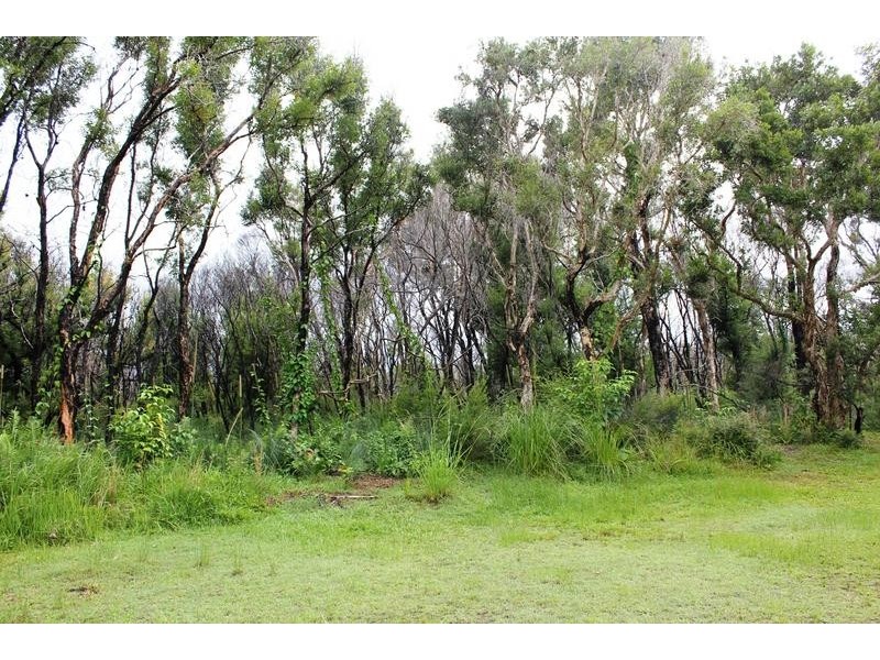 19 Tamarind, Bogangar NSW 2488