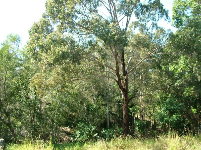 22 Marsupial Drive, Pottsville NSW 2489