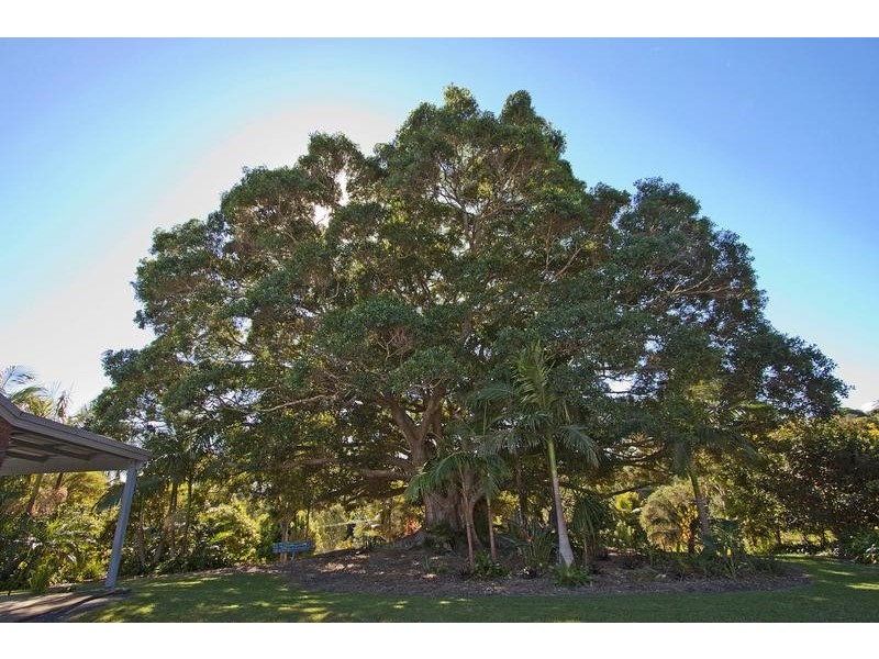 10 Hazelwood Drive, Pottsville NSW 2489