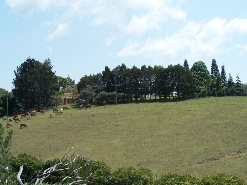 909 Cudgera Creek Road, Cudgera Creek NSW 2484