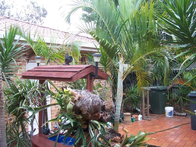 9 Diana court, Pottsville NSW 2489