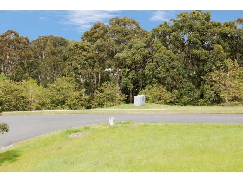 Lot 585, Marsupial Drive, Pottsville NSW 2489