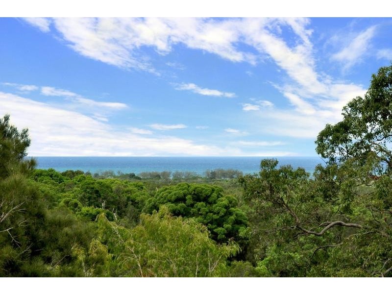 2 Roseash Court, Pottsville NSW 2489