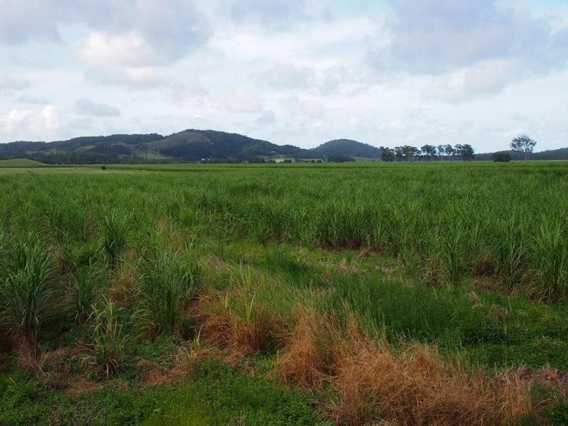 999 Cudgera Creek, Cudgera Creek NSW 2484