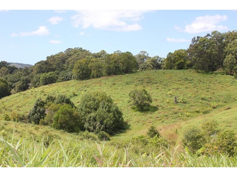 7 Charltons Lane, Cudgera Creek NSW 2484