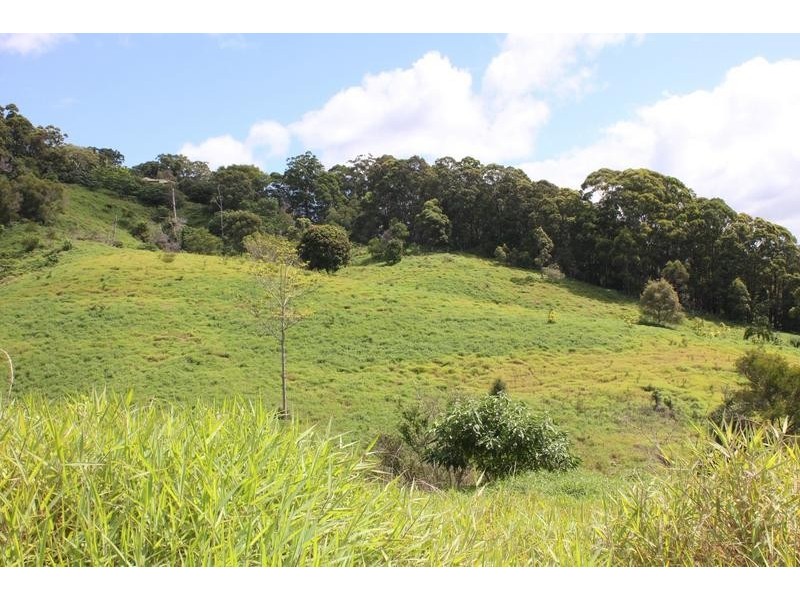 7 Charltons Lane, Cudgera Creek NSW 2484