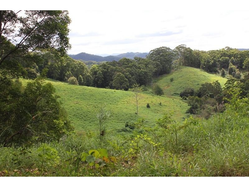 7 Charltons Lane, Cudgera Creek NSW 2484