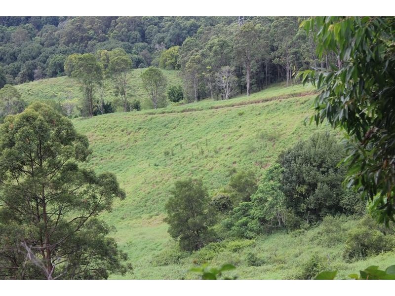 7 Charltons Lane, Cudgera Creek NSW 2484