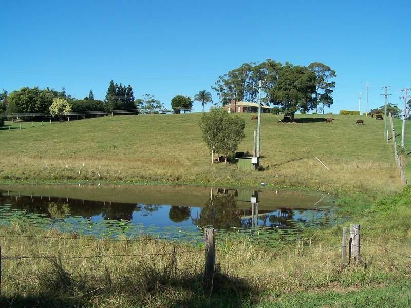 8 Hazelwood Drive, Pottsville NSW 2489