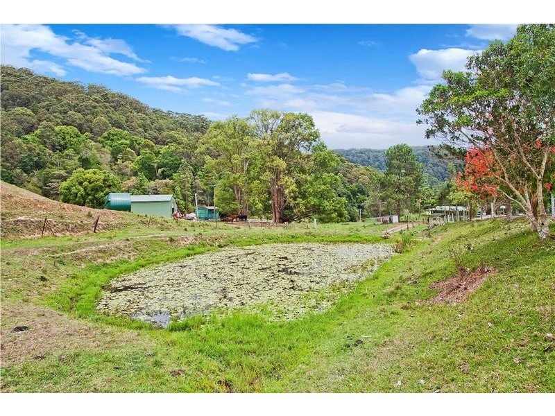 31 Yalambee Avenue, Pottsville NSW 2489