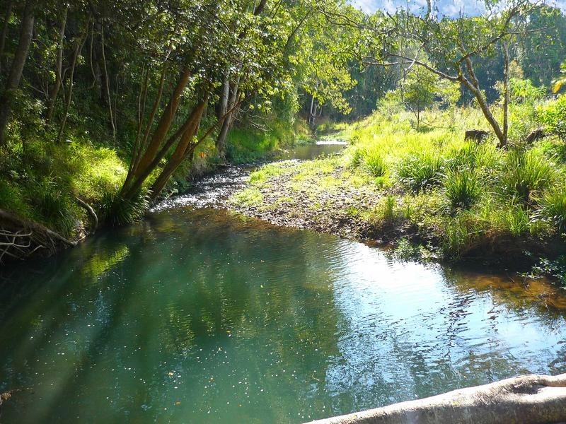 321 Burringbar Road, Upper Burringbar NSW 2483