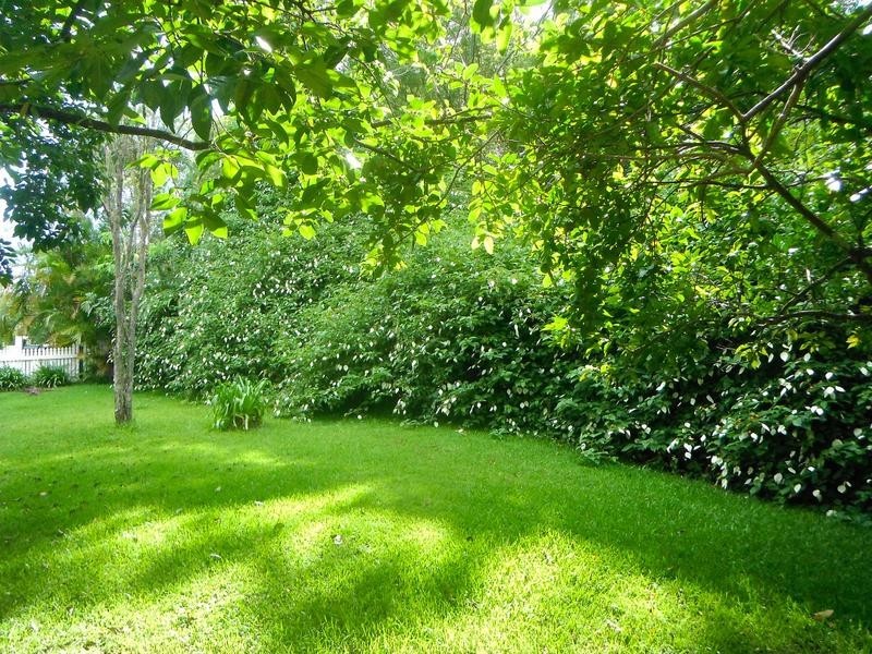 321 Burringbar Road, Upper Burringbar NSW 2483