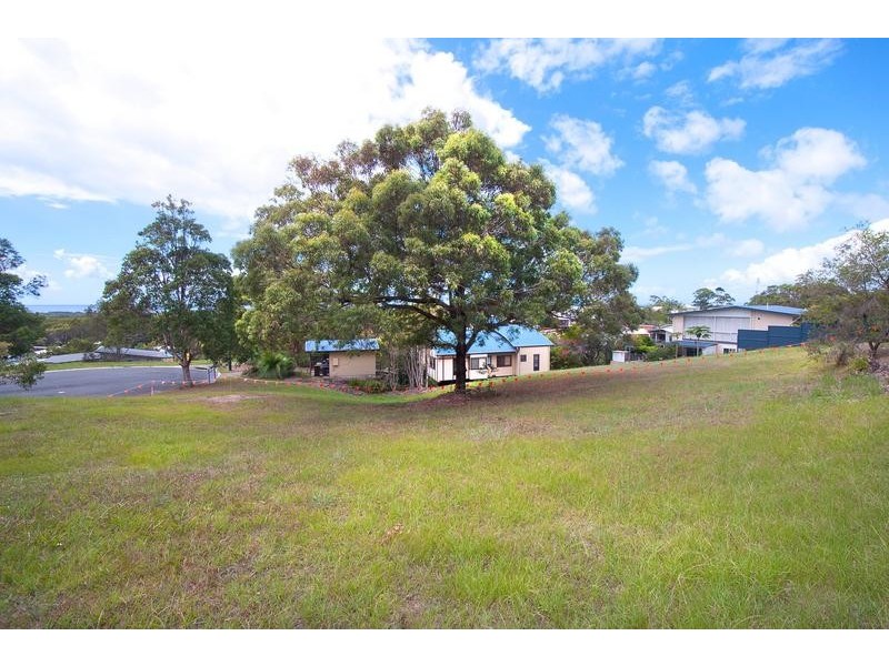 11 Roseash Court, Pottsville NSW 2489