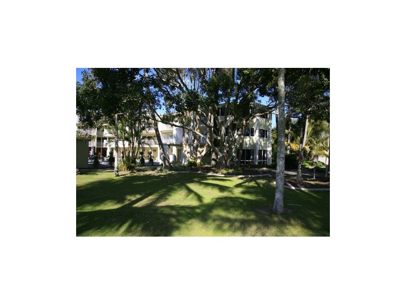 77 Tamarind Avenue, Cabarita Beach NSW 2488