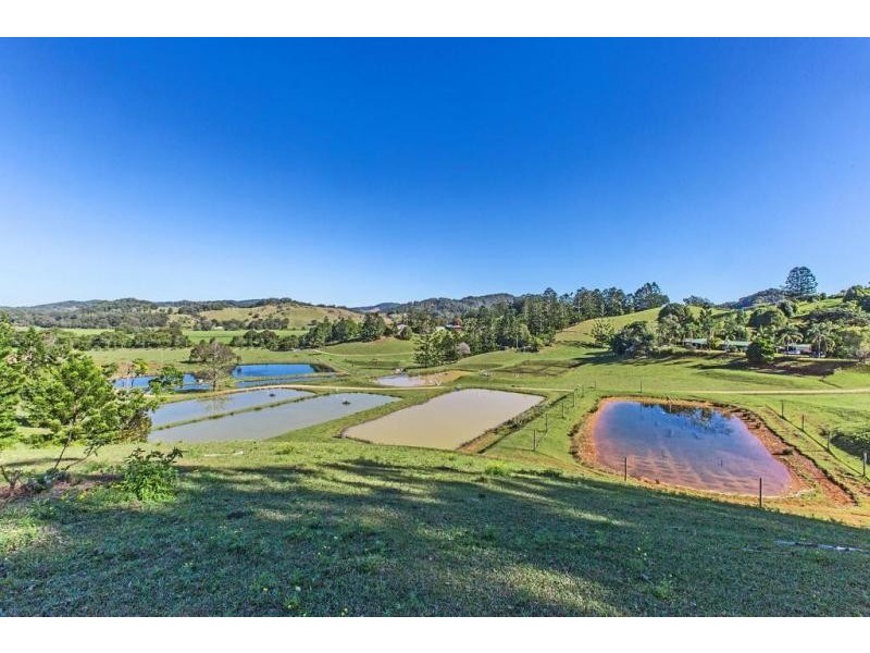 147 Pottsville Road, Mooball NSW 2483