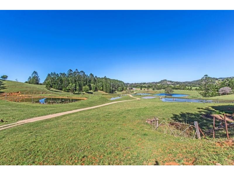 147 Pottsville Road, Mooball NSW 2483