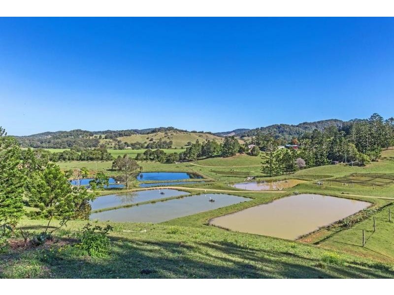 147 Pottsville Road, Mooball NSW 2483