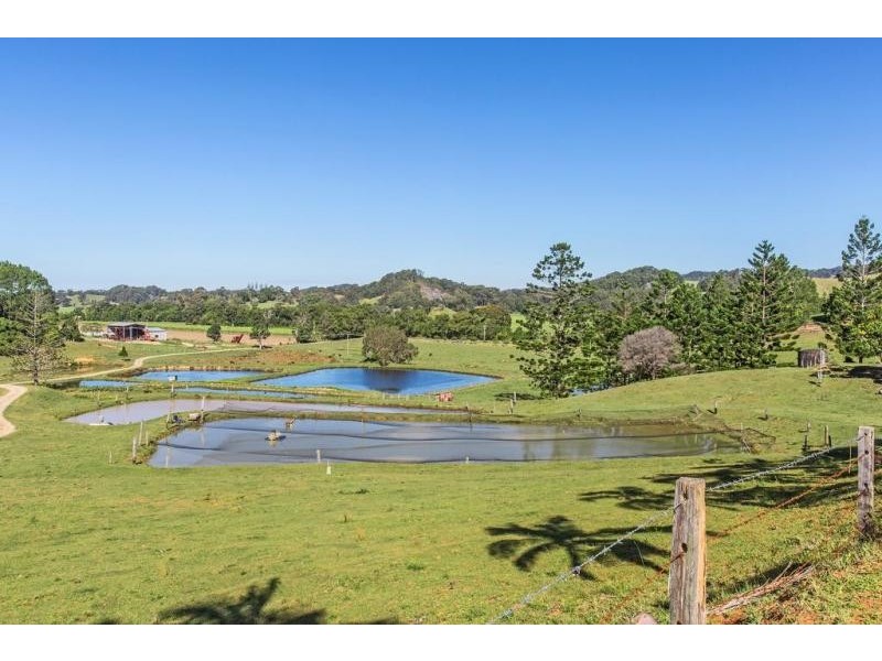 147 Pottsville Road, Mooball NSW 2483