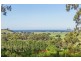 147 Pottsville Road, Mooball NSW 2483