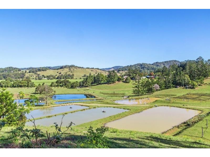 147 Pottsville Road, Mooball NSW 2483