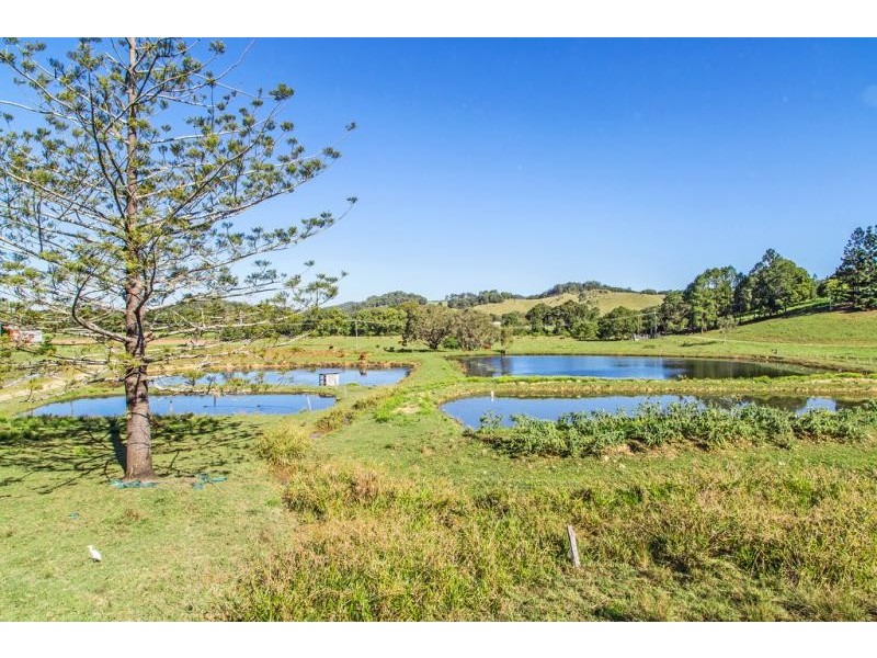 147 Pottsville Road, Mooball NSW 2483