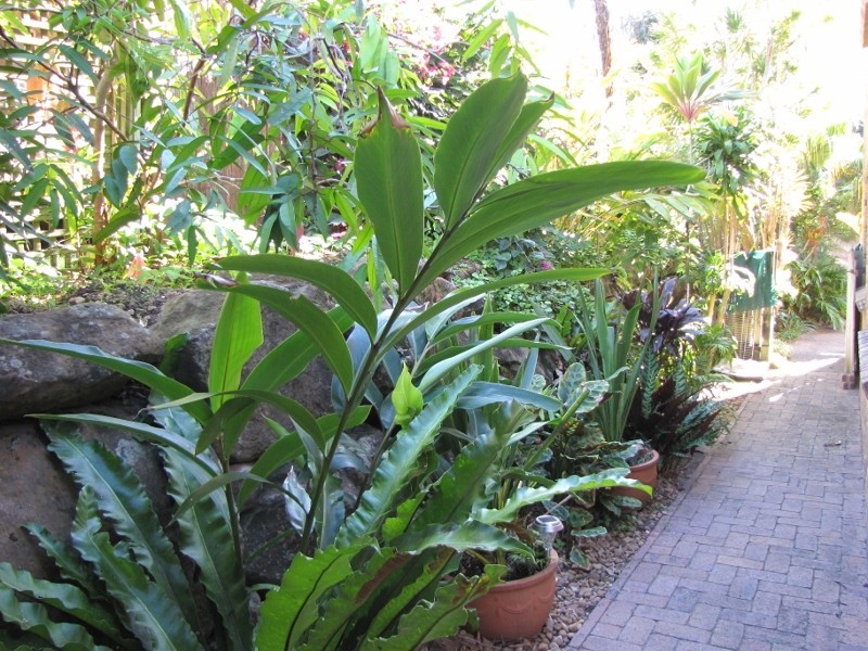 2/14 Philip Street, Pottsville NSW 2489