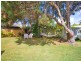 71 Elanora Avenue, Pottsville NSW 2489
