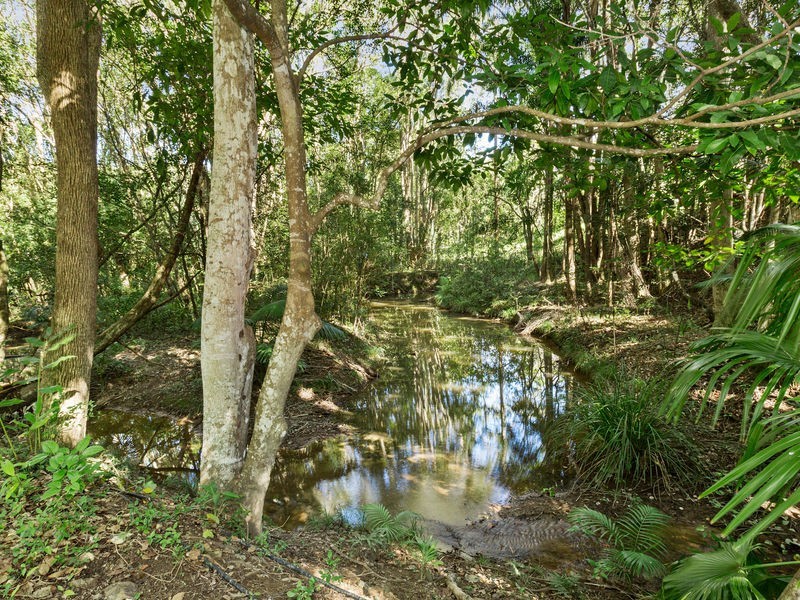 240 Crabbes Creek Road, Crabbes Creek NSW 2483