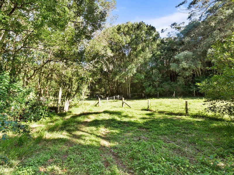 240 Crabbes Creek Road, Crabbes Creek NSW 2483