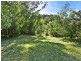 240 Crabbes Creek Road, Crabbes Creek NSW 2483