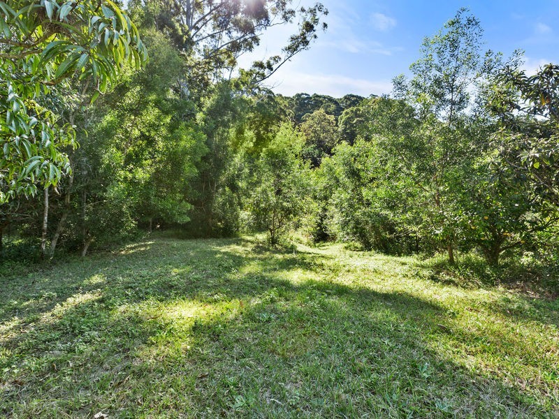 240 Crabbes Creek Road, Crabbes Creek NSW 2483