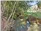 240 Crabbes Creek Road, Crabbes Creek NSW 2483