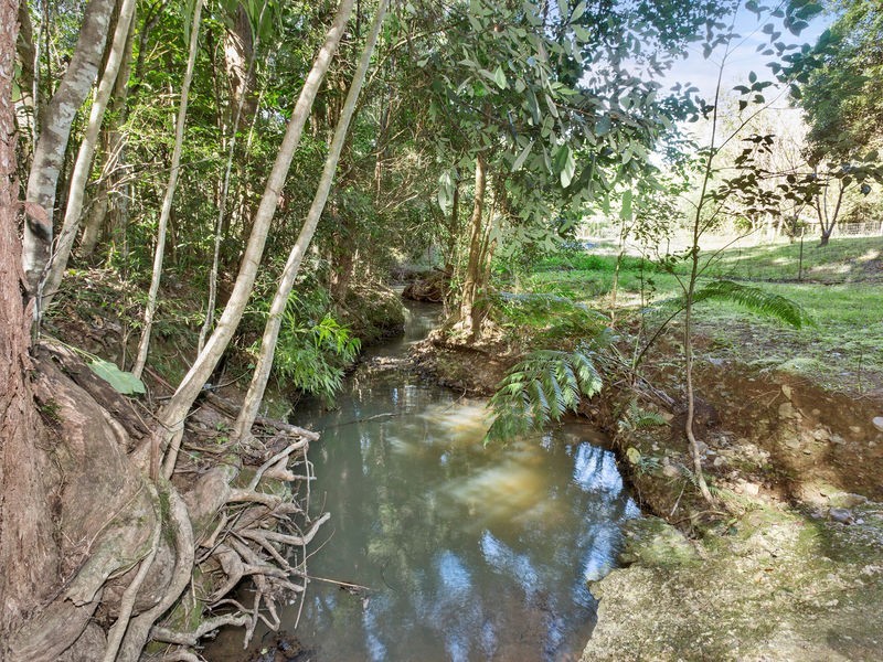 240 Crabbes Creek Road, Crabbes Creek NSW 2483