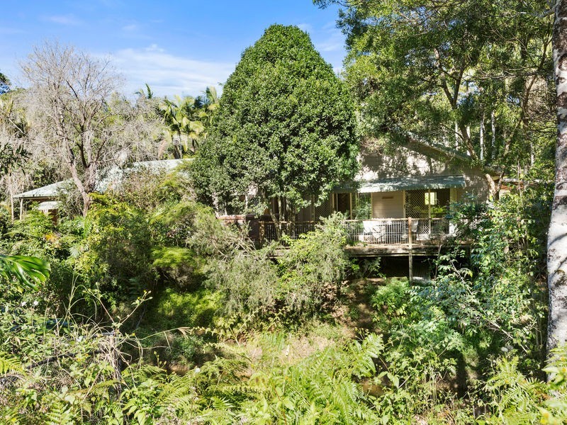240 Crabbes Creek Road, Crabbes Creek NSW 2483