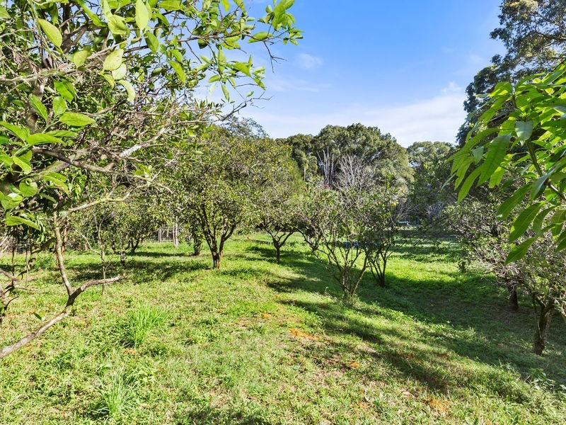 240 Crabbes Creek Road, Crabbes Creek NSW 2483