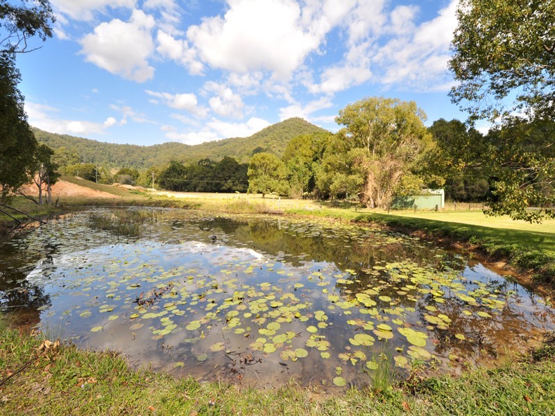 107 Adcocks Road, Stokers Siding NSW 2484