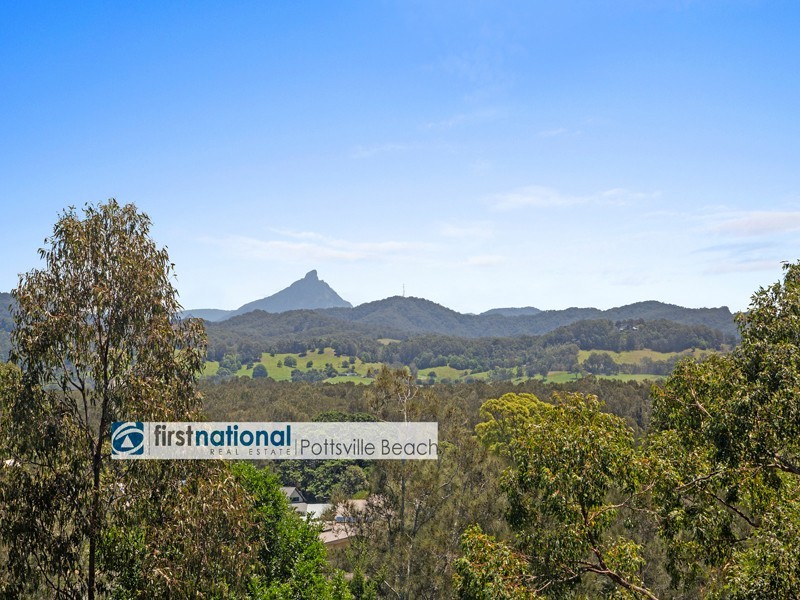 4 Bottlebrush Drive, Pottsville NSW 2489