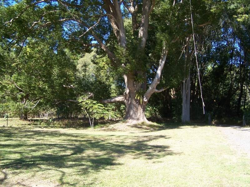 130 Sleepy Hollow Road, Sleepy Hollow NSW 2483