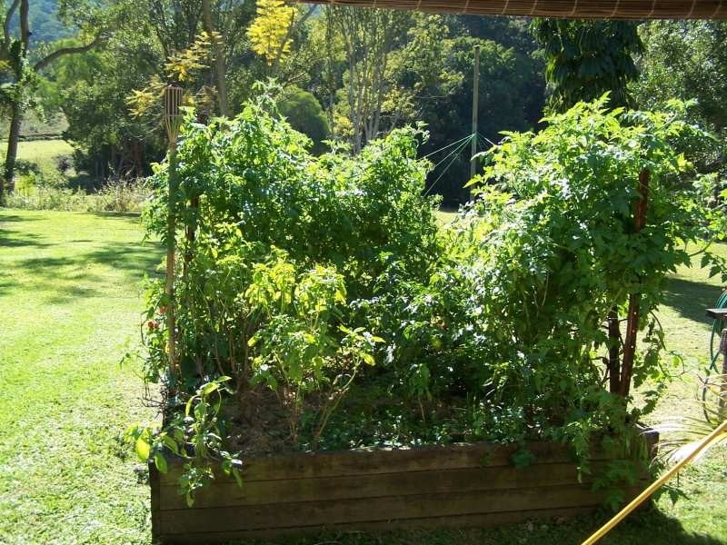 130 Sleepy Hollow Road, Sleepy Hollow NSW 2483