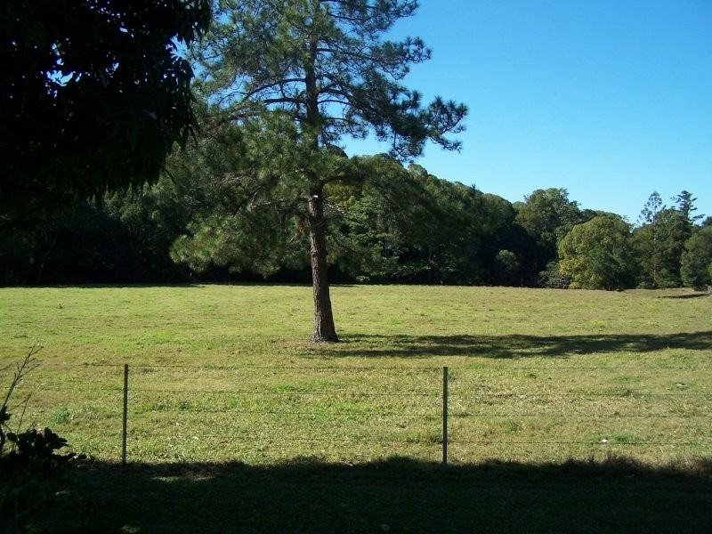 130 Sleepy Hollow Road, Sleepy Hollow NSW 2483