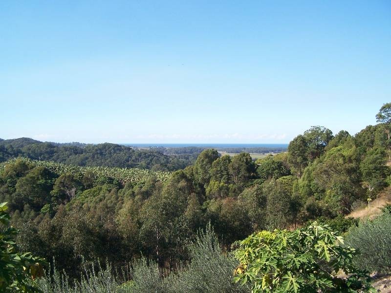 315 Pottsville Road, Pottsville NSW 2489