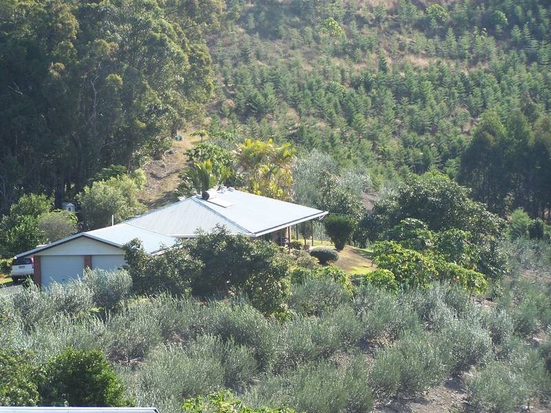 315 Pottsville Road, Pottsville NSW 2489