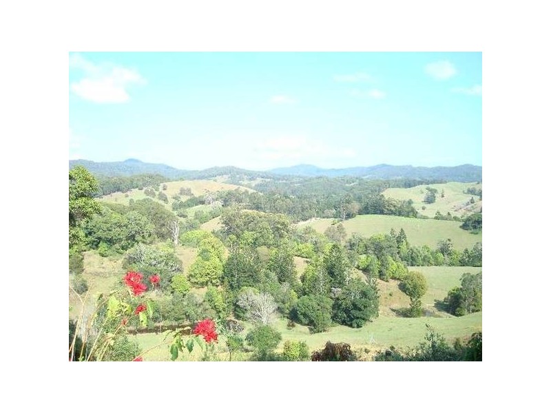 63 Kanes Road, Cudgera Creek NSW 2484