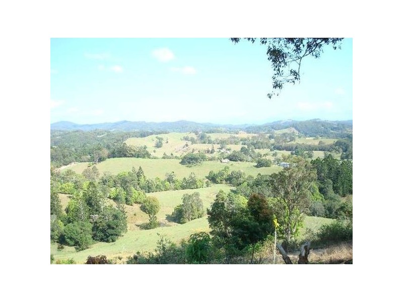63 Kanes Road, Cudgera Creek NSW 2484