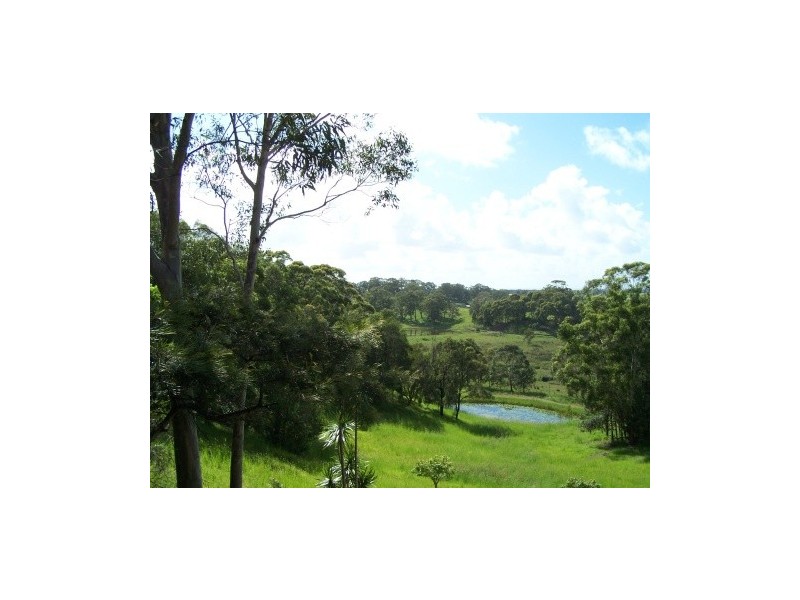 94 Warwick Park Rd, Pottsville NSW 2489