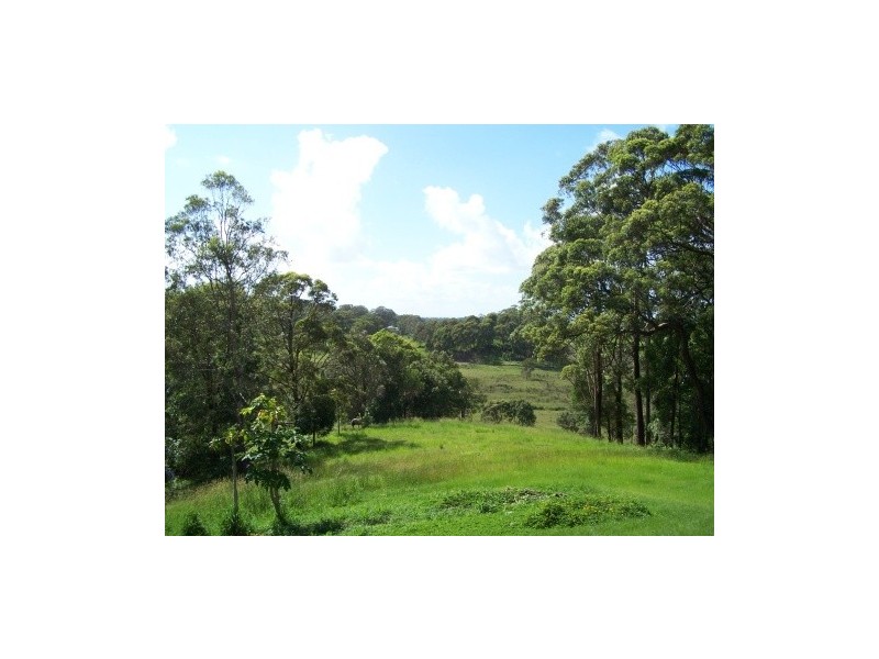 94 Warwick Park Rd, Pottsville NSW 2489