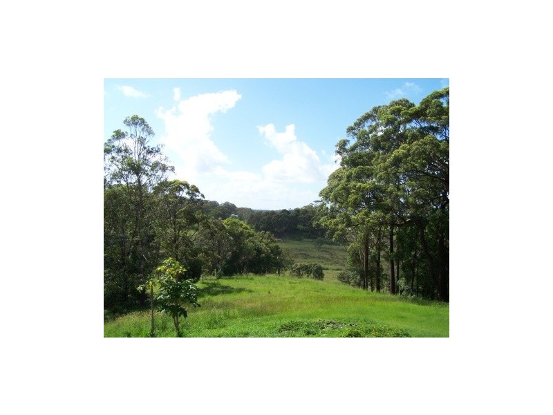 94 Warwick Park Rd, Pottsville NSW 2489